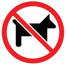 no pet